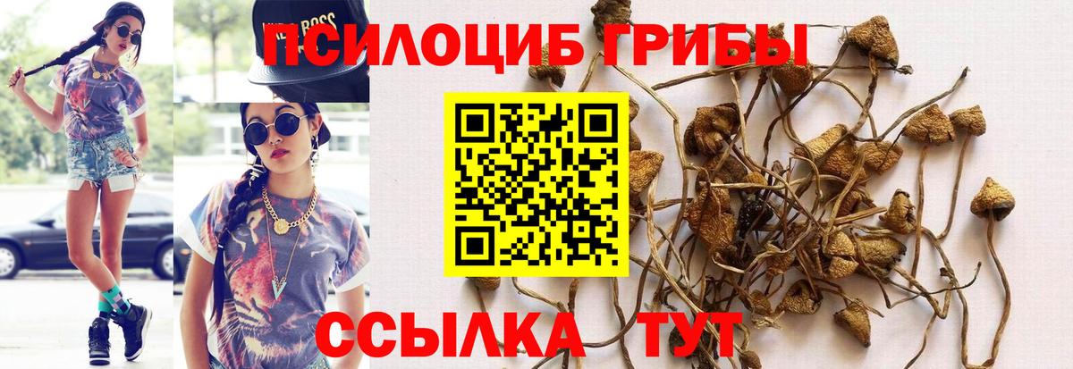 Псилоцибиновые грибы мицелий  Вход с VPN  Барнаул  Галлюциногенные грибы мицелий 